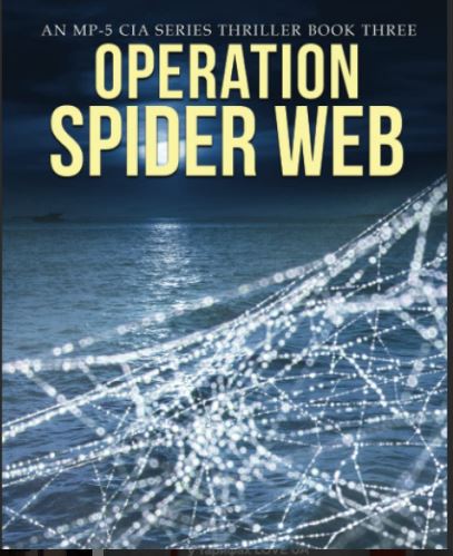 How Many Bombers Were Destroyed In Ukraine's Operation Spider Web And How Would It Affect Russia's Combat Capability?