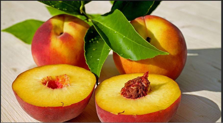 Which fruit is known to keep the skin young?