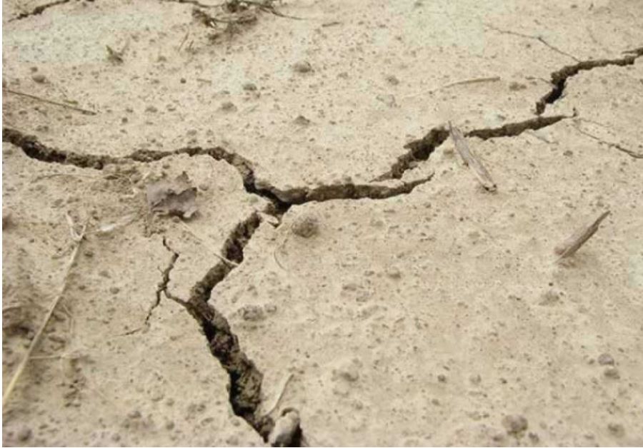 A 5.7-Magnitude Earthquake Shook Several Cities In Iran