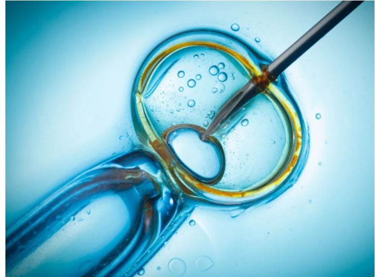 World's Oldest Baby Born Through IVF In US